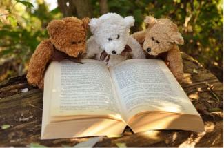 bears reading a book